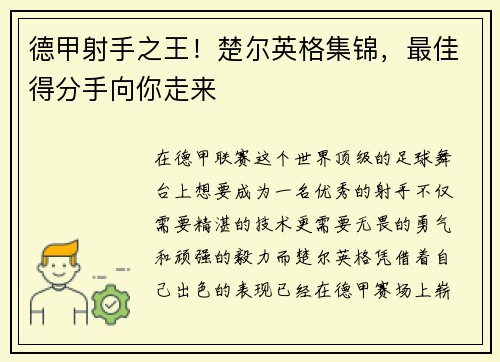 德甲射手之王！楚尔英格集锦，最佳得分手向你走来